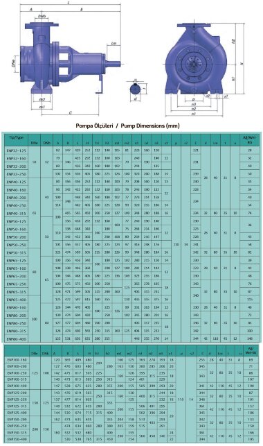 Насос консольний одноступеневий ENP 100-200, 37 кВт, 2900 об/хв на рамі з двигуном — BTS Engineering