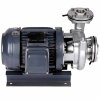 Pumpe für Amylalkohol QHS-50-2, AISI 316 фото 4 &mdash; BTS Engineering