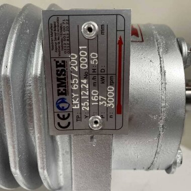 Насос для термомасла EMSE EKY 65-200, 37 кВт, 2900, без двигателя — BTS Engineering