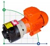 ADH 100 PVDF/B/0.75HP/TF/2800/BSP - Horizontal Centrifugal Pump фото 1 — BTS Engineering