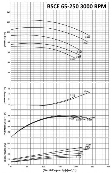 BSCE 65-250 (3000 ) beidseitige einlasspumpe ohne Motor — BTS Engineering