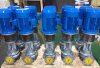 Vertikale Heißölpumpe LQLRY40-40-210/2-C, 6,3 m3/h, 50 m, 4 kW, 2900 U/min, Ex фото 2 — BTS Engineering