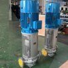 Vertikale Heißölpumpe LQLRY40-40-210/2-C, 6,3 m3/h, 50 m, 4 kW, 2900 U/min, Ex фото 3 — BTS Engineering