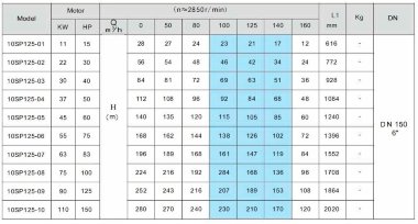 Скважинный насос 10SP125/08, Outlet: 6 дюймов, 75 kW, 380V — BTS Engineering