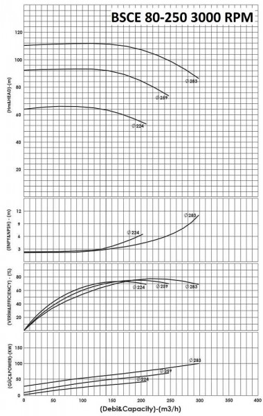 BSCE 80-250(3000) - Double Suction Split Case Pump Without Engine — BTS Engineering
