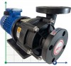 Pumpe mit Magnetkupplung MP-HX-440 GFK, 240L/min, 12,3m, 380V, ABLE Motor фото 1 — BTS Engineering