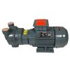 2BV2061, bomba de vacío AISI 316 para evaporadores фото 5 — BTS Engineering
