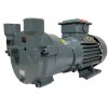 2BV2061, bomba de vacío AISI 316 para evaporadores фото 6 — BTS Engineering