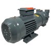 2BV2061, bomba de vacío AISI 316 para evaporadores фото 9 — BTS Engineering