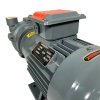 2BV2061, bomba de vacío AISI 316 para evaporadores фото 11 — BTS Engineering