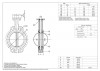 PN16 DN100 Zawór motylkowy, korpus i dysk ze stali nierdzewnej AISI 304, Seat EPDM фото 2 — BTS Engineering