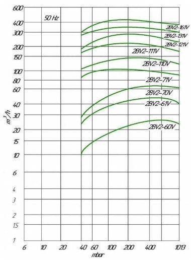 2BV5111, AISI 316 вакуумный насос для агрессивных газов — BTS Engineering
