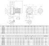 Pompe en acier inoxydable NX40/550 (160), 4 kW, 42 m3/h, 40 m, 380 V/T, AISI 304 (EBARA 3M 40-160/4) фото 3 — BTS Engineering