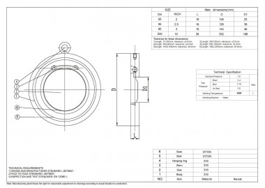 PN16 DN250 Zawór zwrotny ze stali nierdzewnej AISI 316, gniazdo VITON — BTS Engineering