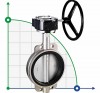 PN16 DN250 Butterfly valve, body and disc made of stainless steel AISI 316, Seat EPDM фото 1 — BTS Engineering