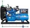 Промисловий дизельний генератор XHY-R50GF з ATS, двигун Ricardo 62,5kVA, 50kW, 380V/50HZ відкритого типу фото 1 — BTS Engineering