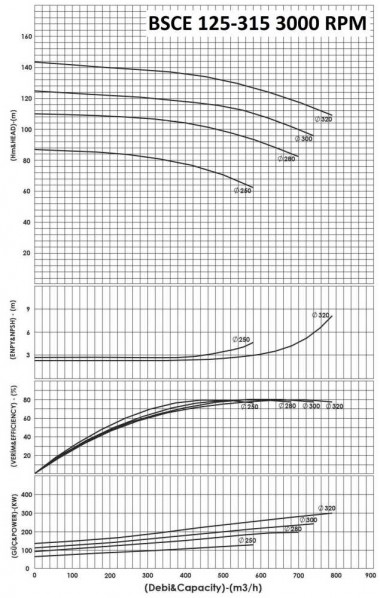 BSCE 125-315 (3000 ) beidseitige einlasspumpe ohne Motor — BTS Engineering