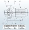 BGWH 80-315(I) (50/32), 11kW, 1450 насос нержавеющий горизонтальный фото 5 — BTS Engineering