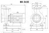 BGWH 80-315(I) (50/32), 11kW, 1450 насос нержавеющий горизонтальный фото 4 — BTS Engineering