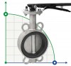 PN16 DN100 Butterfly valve, body and disc made of stainless steel AISI 316, Seat EPDM фото 1 — BTS Engineering