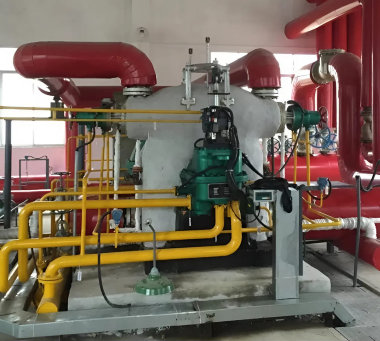 Turbina de vapor B0,4-1,4/0,2 400 kW — BTS Engineering