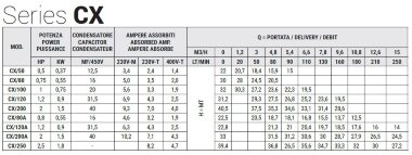 Pompa ze stali nierdzewnej do nawadniania ogrodu CX/120A, 0,9 kW, 15 m3/h, 22,8 m, 380 V/T, AISI 304 (EBARA CDX 200/12) — BTS Engineering