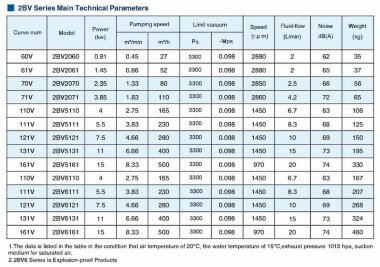 2BV6121, AISI 316, Ех взрывозащищенный вакуумный насос, длинная база &mdash; BTS Engineering
