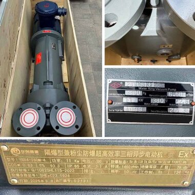 Vacuum pump 2BV6131 Ex made of AISI 316 stainless steel, long frame &mdash; BTS Engineering