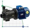 Magnetic coupled pump FLUIMAC COMPASS CM 30 PVDF, 2.2 kW, 380V, Ex фото 1 — BTS Engineering
