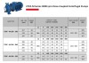 Pompe d'irrigation monobloc ETKF-M 100-200, 37 kW, 3000 фото 5 — BTS Engineering
