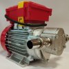 NOVAX G 20 HP 0,6 pompa zębata фото 3 — BTS Engineering
