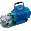 Stainless steel gear pump for engine oil WCB-100/220V 50Hz, 50 l/min, 30 m, AISI 304, 1.1 kW, 1400 rpm, Ex фото 1 — BTS Engineering
