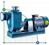 Насос самовсасывающий взрывозащищенный BZWB 250-420-14/4, 45kW, 1450, Ex, imp:AISI 304 фото 1 — BTS Engineering