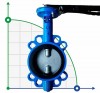 PN16 DN100 Butterfly valve, cast iron body, AISI 316 disc, Seat EPDM фото 1 — BTS Engineering