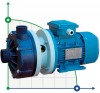 Pompe centrifuge horizontale MV 110, PVDF, VITON, A фото 1 — BTS Engineering