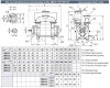 Bomba de vacío para unidad de destilación brago 2BE1-152-0, 340-535 m3/h, sin motor фото 3 — BTS Engineering