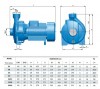 Bomba centrífuga para riego BC 6A (30/16,8), 2,2kW, 2880 con conexión roscada фото 2 — BTS Engineering