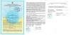 DP 10 SC/E - pneumatische Membranpumpe фото 4 — BTS Engineering