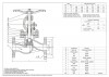 PN16 DN50 Zawór kołnierzowy ze stali nierdzewnej AISI 304, Seat AISI 304 фото 2 — BTS Engineering